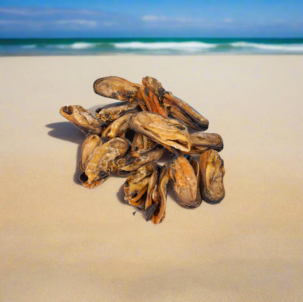 Green Lipped Mussel 100g