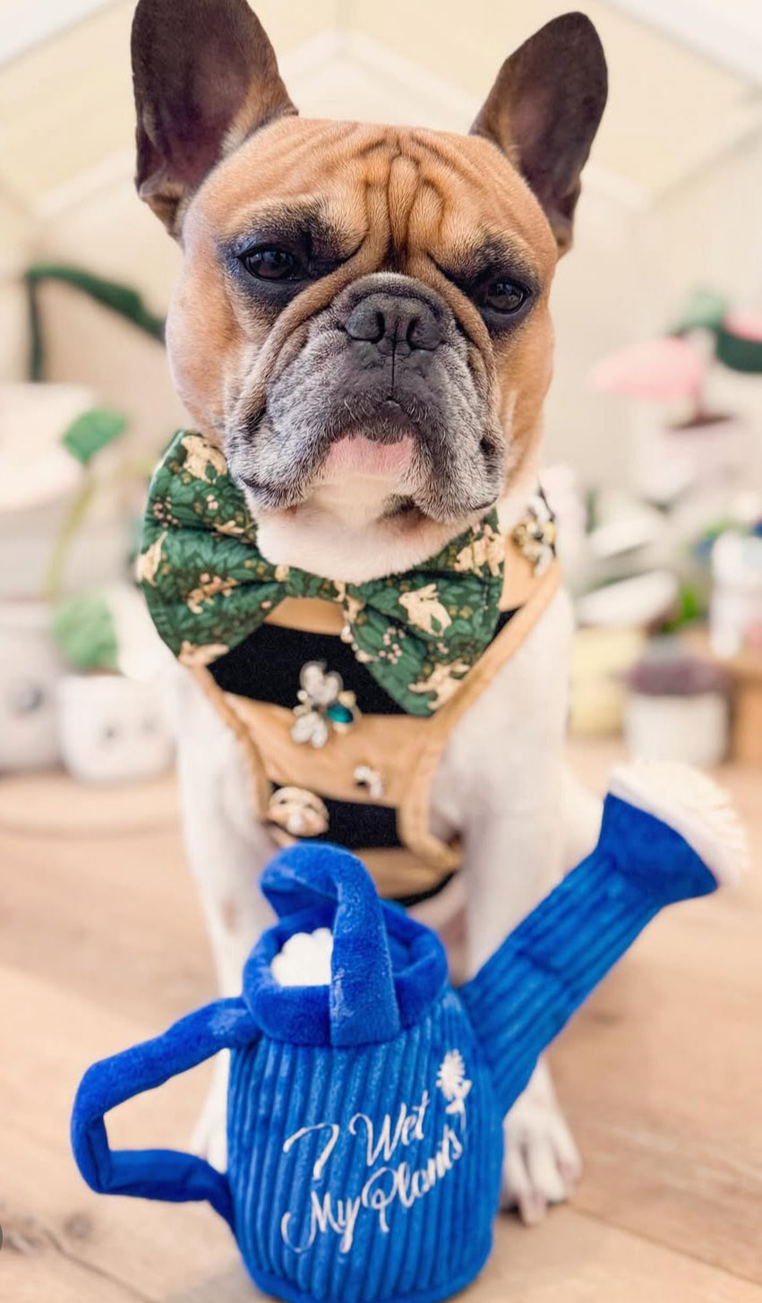 Wagging Watering Can