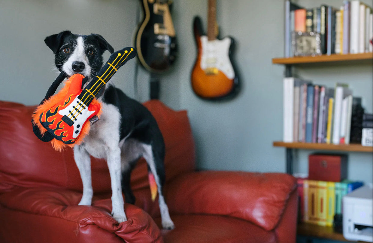 Rock'n Rollover Guitar