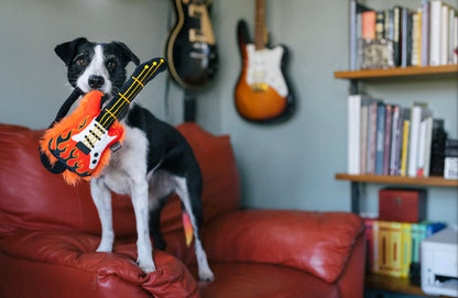 Rock'n Rollover Guitar