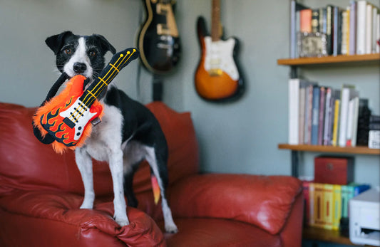Rock'n Rollover Guitar